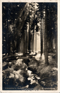 25950A-Hahnenklee022-Wald-1942-Scan-Vorderseite.jpg