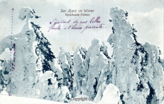 21565A-HarzDiverse143-Winterwald-1908-Scan-Vorderseite.jpg