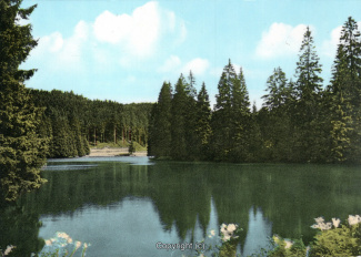 22620A-HarzDiverse095-Landschaft-Teich-Scan-Vorderseite.jpg
