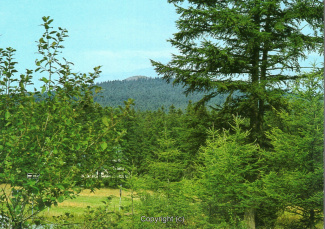 4352A-Braunlage192-Blick-zum-Achtermann-Scan-Vorderseite.jpg
