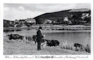 05050A-Hahnenklee286-Waldsee-Kuhherde-Scan-Vorderseite.jpg