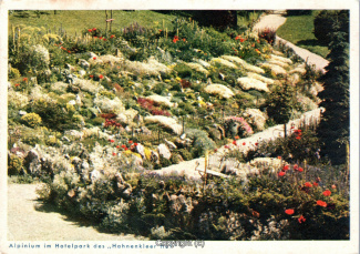08180A-Hahnenklee262-Hotelpark-Alpinium-im-Hahnenkleer-Hof-1938-Scan-Vorderseite.jpg
