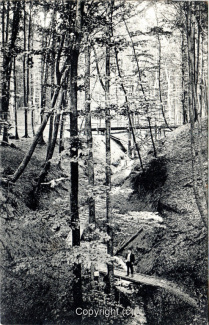0315A-Waldkater012-Drachenschlucht-1919-Scan-Vorderseite.jpg