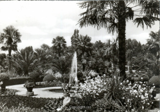 0880A-Pyrmont198-Palmengarten-1956-Scan-Vorderseite.jpg