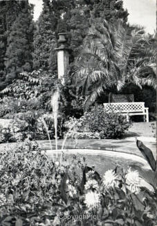 0890A-Pyrmont200-Palmengarten-1966-Scan-Vorderseite.jpg