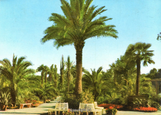 1282A-Pyrmont151-Palmengarten-Scan-Vorderseite.jpg