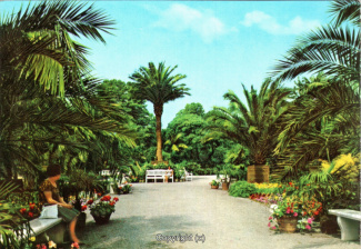 1283A-Pyrmont202-Palmengarten-1979-Scan-Vorderseite.jpg