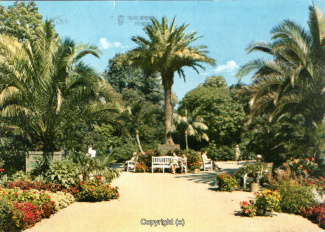 1284A-Pyrmont203-Palmengarten-1973-Scan-Vorderseite.jpg