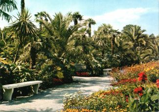 1286A-Pyrmont204-Palmengarten-Scan-Vorderseite.jpg