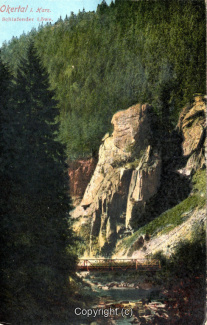 0840A-Okertal155-Schlafender-Loewe-Scan-Vorderseite.jpg