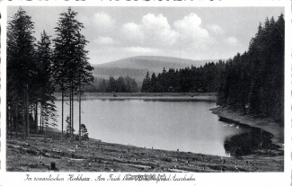 19470A-Hahnenklee308-Grumbacher-Teich-Auerhahn-1937-Scan-Vorderseite.jpg