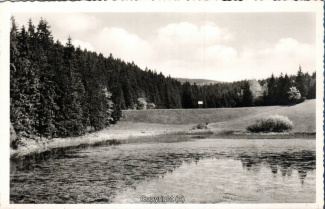 20280A-Hahnenklee300-Unterer-Floessteich-Scan-Vorderseite.jpg