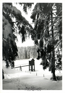 22360A-Hahnenklee317-Kuttelbacher-Teich-Waldsee-Winter-Scan-Vorderseite.jpg