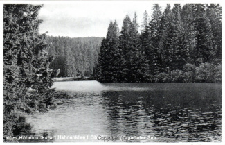 23250A-Hahnenklee319-Spiegeltaler-Teich-Scan-Vorderseite.jpg