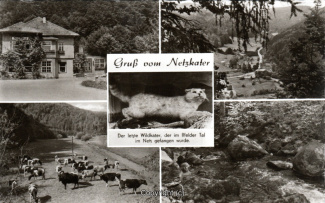 0690A-Ilfeld010-Multibilder-Netzkater-Scan-Vorderseite.jpg