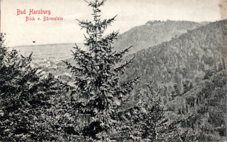 24240A-BadHarzburg462-Blick-vom-Baerenstein-Scan-Vorderseite.jpg
