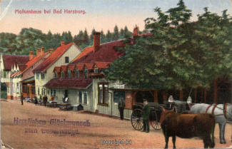 19125A-BadHarzburg459-Molkenhaus-1925-Scan-Vorderseite.jpg