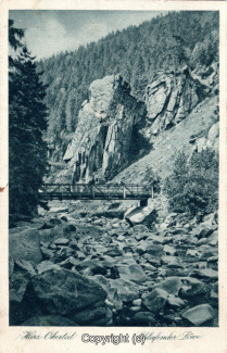 0850A-Okertal165-Schlafender-Loewe-Scan-Vorderseite.jpg