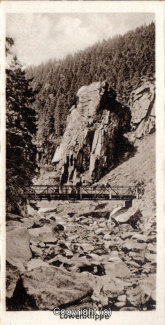 0855A-Okertal167-07-Schlafender-Loewe-Leporello-Scan-Vorderseite.jpg