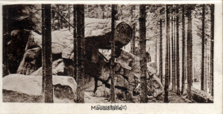 2587A-Okertal167-08-Mausefalle-Leporello-Scan-Vorderseite.jpg