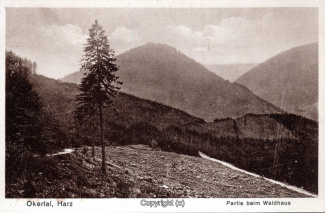 7420A-Okertal178-Wanderung-beim-Waldhaus-Scan-Vorderseite.jpg