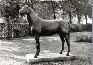 1900A-Pyrmont219-Denkmal-Trakehner-von-Hessenstein-Scan-Vorderseite.jpg