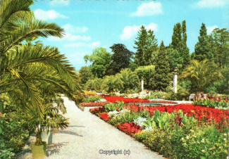 1294A-Pyrmont208-Palmengarten-Scan-Vorderseite.jpg