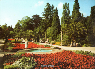 1296A-Pyrmont209-Palmengarten-1980-Scan-Vorderseite.jpg