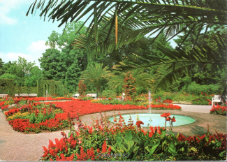 1300A-Pyrmont211-Palmengarten-1978-Scan-Vorderseite.jpg