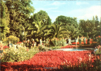 1302A-Pyrmont212-Palmengarten-Scan-Vorderseite.jpg
