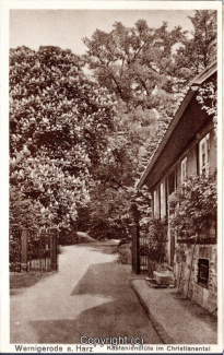 3180A-Wernigerode202-Kastanienbluete-im-Christianental-Scan-Vorderseite.jpg