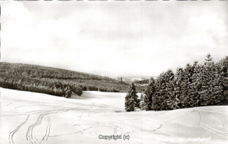 28250A-Hahnenklee306-Skiwiese-Auerhahn-Winter-Scan-Vorderseite.jpg