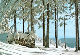 22942A-HarzDiverse181-Winterlandschaft-Scan-Vorderseite.jpg