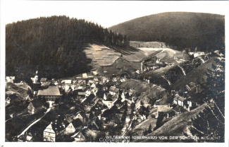 0200A-Wildemann051-Panorama-Ort-1928-Scan-Vorderseite.jpg