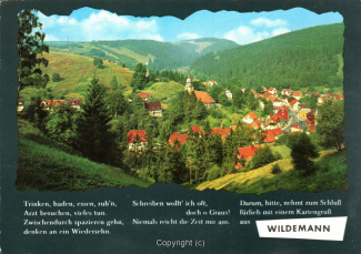0540A-Wildemann044-Panorama-Ort-Scan-Vorderseite.jpg