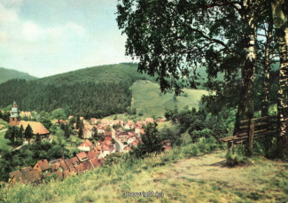 0555A-Wildemann057-Panorama-Ort-Scan-Vorderseite.jpg