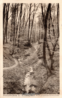 0320A-Waldkater013-Drachenschlucht-1932-Scan-Vorderseite.jpg