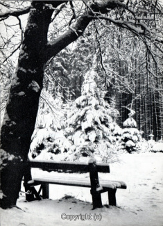 9650A-Hameln2309-Winterwald-Riepen-Scan-Vorderseite.jpg
