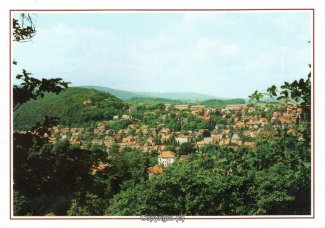 1420A-Wernigerode261-Panorama-Ort-Scan-Vorderseite.jpg