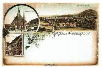 0075A-Wernigerode258-Multibilder-Ort-Litho-Nachdruck-Scan-Vorderseite.jpg