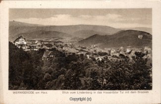 1263A-Wernigerode232-Panorama-Ort-Scan-Vorderseite.jpg
