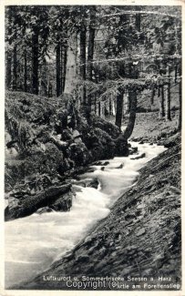 03120A-Seesen028-Forellenstieg-Scan-Vorderseite.jpg