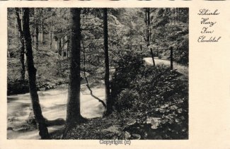 2563A-Schierke137-Elendstal-Scan-Vorderseite.jpg