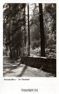 2575A-Schierke107-Im-Elendstal-Scan-Vorderseite.jpg