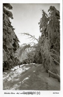 2742A-Schierke119-Winterlandschaft-Scan-Vorderseite.jpg