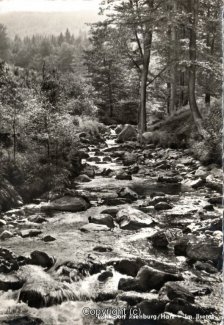 1570A-Ilsenburg125-Ilse-Flussbett-Scan-Vorderseite.jpg