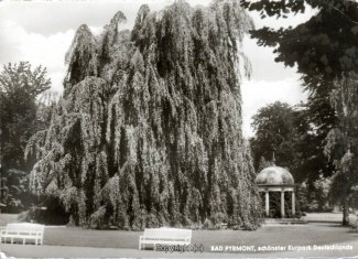 0764A-Pyrmont271-Kurpark-Erdbeertempel-Scan-Vorderseite.jpg