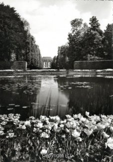 0829A-Pyrmont297-Goldfischteich-Scan-Vorderseite.jpg