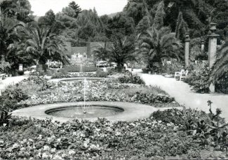 0887A-Pyrmont284-Palmengarten-Scan-Vorderseite.jpg