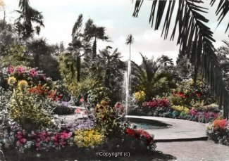 1291A-Pyrmont293-Palmengarten-Scan-Vorderseite.jpg